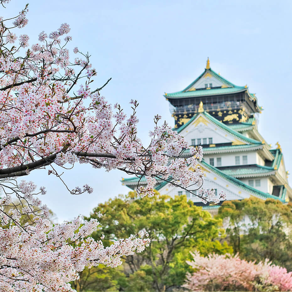 岡崎城の桜の写真